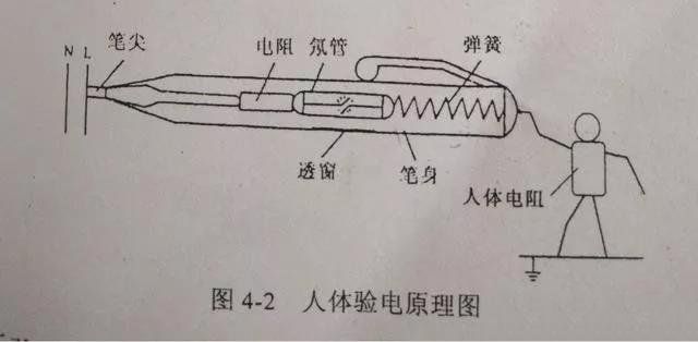 每天陪着我们的验电笔你了解多少，带你教科书重温！